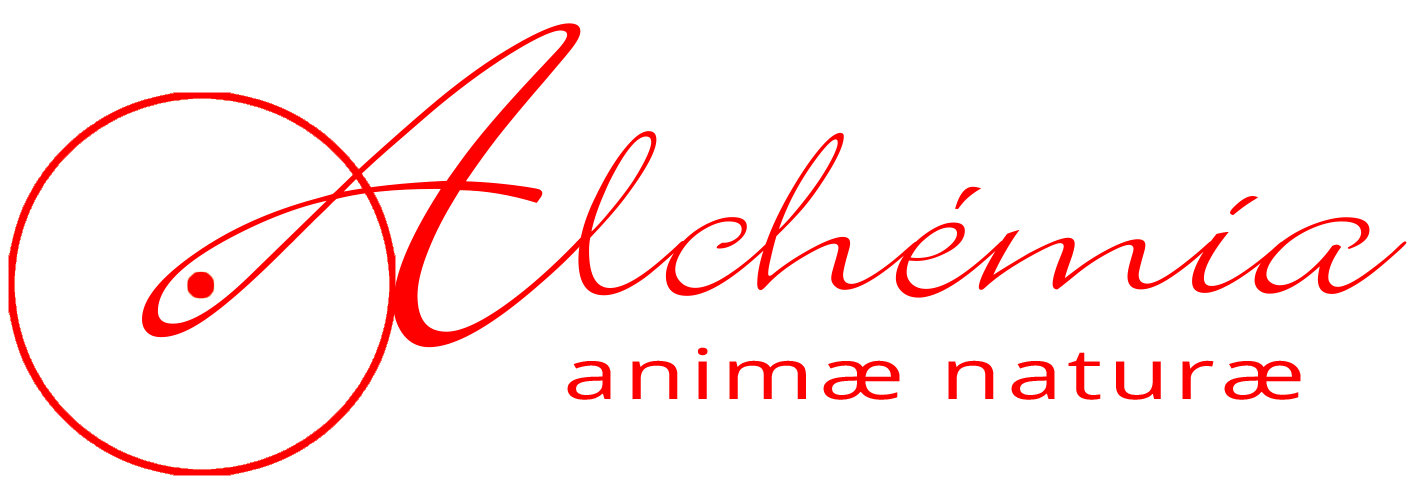 Alchémia animae naturae