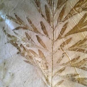 Stola lana seta Ecoprint -Rame -S129-02