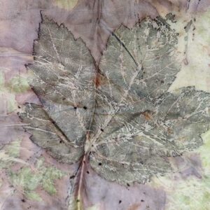 stola-pura-seta-Cipria-S117-01