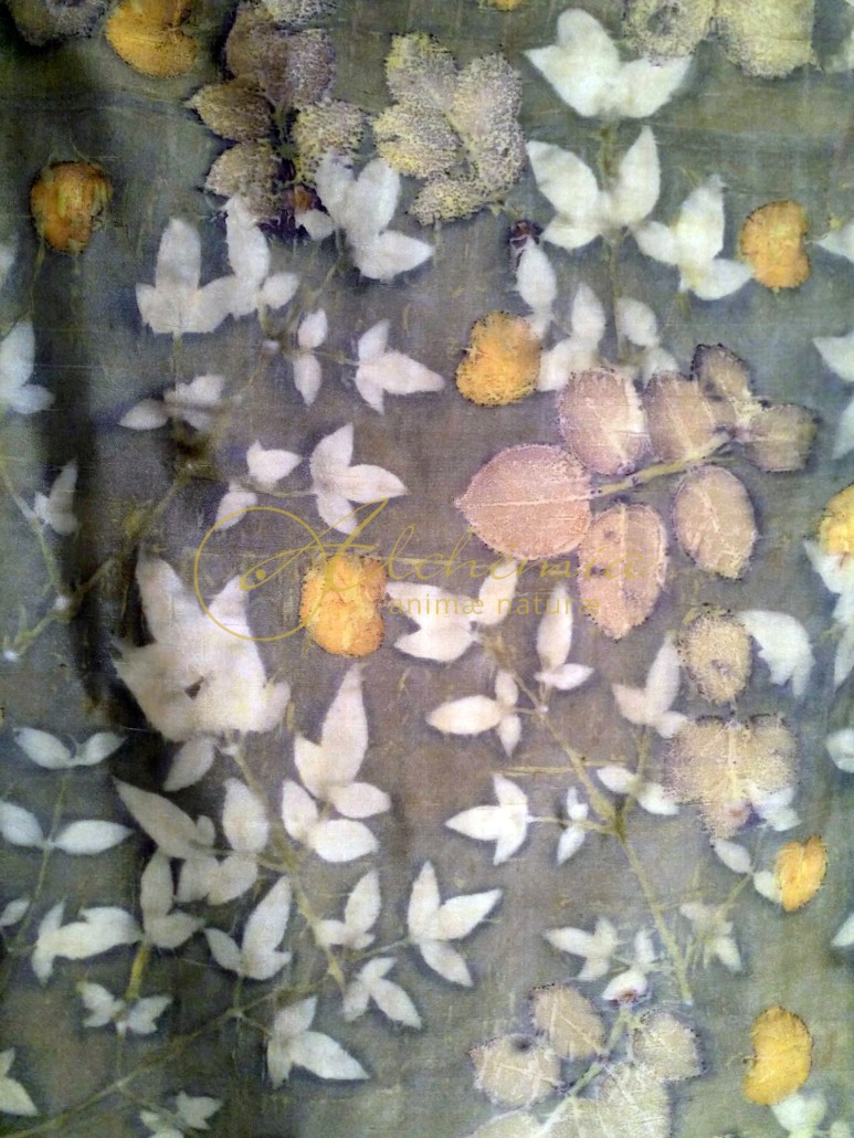Stola pura seta - Ecoprint Il sole crea 3