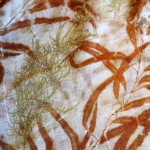 Stola in lana cashmere - Ecoprint - Stagno
