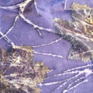 Stola in pura seta - ecoprint - Viola di sera