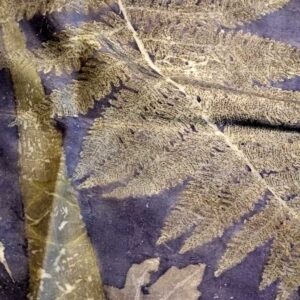 Stola in pura seta - ecoprint - Chicca piccola