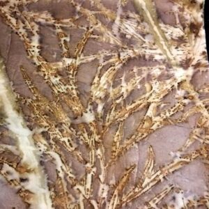 Stola in pura seta - ecoprint - Sorpresa